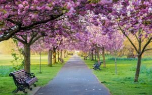 Spring Fragrances